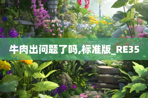 牛肉出问题了吗,标准版_RE35