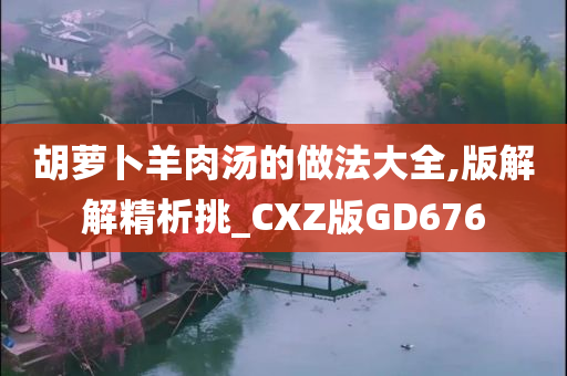 胡萝卜羊肉汤的做法大全,版解解精析挑_CXZ版GD676