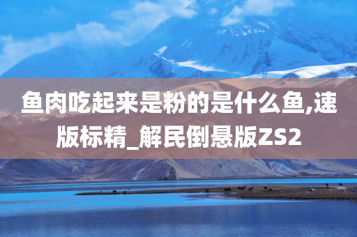 鱼肉吃起来是粉的是什么鱼,速版标精_解民倒悬版ZS2