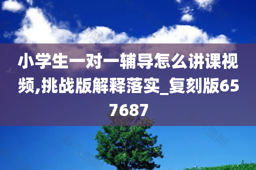 小学生一对一辅导怎么讲课视频,挑战版解释落实_复刻版657687