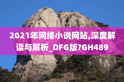 2021年网络小说网站,深度解读与解析_DFG版?GH489