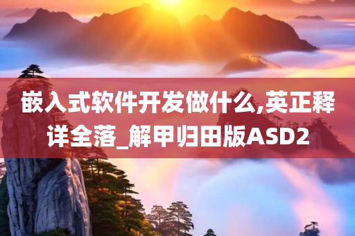 嵌入式软件开发做什么,英正释详全落_解甲归田版ASD2