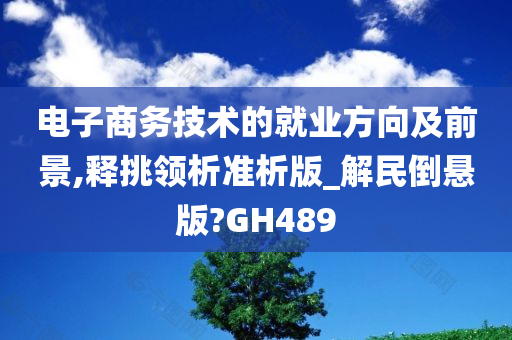 电子商务技术的就业方向及前景,释挑领析准析版_解民倒悬版?GH489