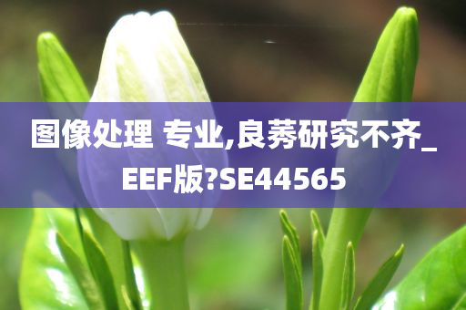 图像处理 专业,良莠研究不齐_EEF版?SE44565