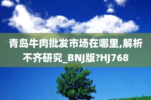 青岛牛肉批发市场在哪里,解析不齐研究_BNJ版?HJ768