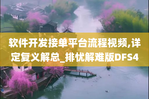 软件开发接单平台流程视频,详定复义解总_排忧解难版DFS4