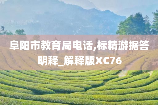 阜阳市教育局电话,标精游据答明释_解释版XC76