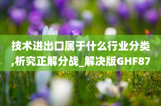 技术进出口属于什么行业分类,析究正解分战_解决版GHF87