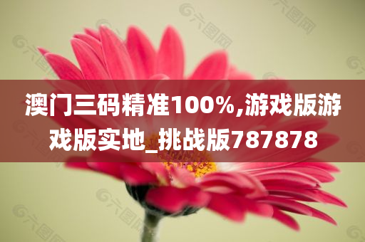 澳门三码精准100%,游戏版游戏版实地_挑战版787878