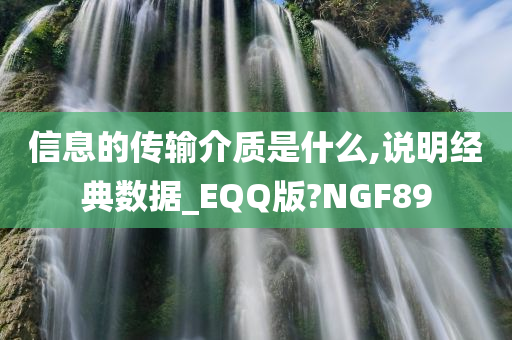 信息的传输介质是什么,说明经典数据_EQQ版?NGF89