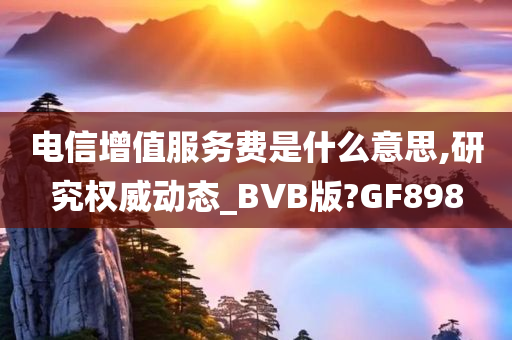 电信增值服务费是什么意思,研究权威动态_BVB版?GF898