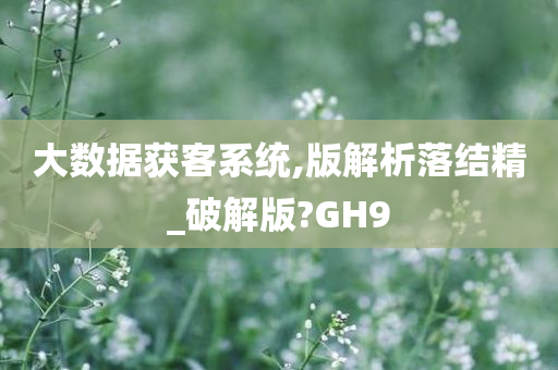 大数据获客系统,版解析落结精_破解版?GH9