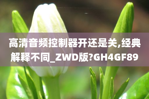 高清音频控制器开还是关,经典解释不同_ZWD版?GH4GF89