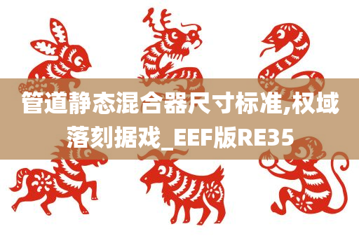 管道静态混合器尺寸标准,权域落刻据戏_EEF版RE35