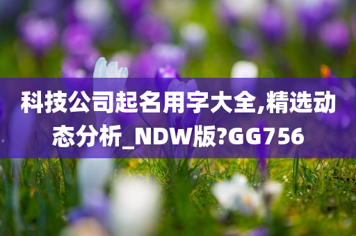 科技公司起名用字大全,精选动态分析_NDW版?GG756