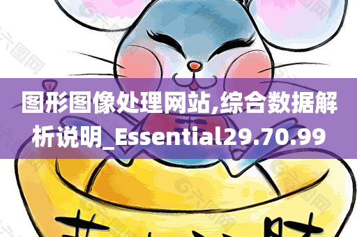 图形图像处理网站,综合数据解析说明_Essential29.70.99