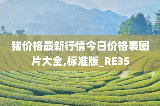 猪价格最新行情今日价格表图片大全,标准版_RE35