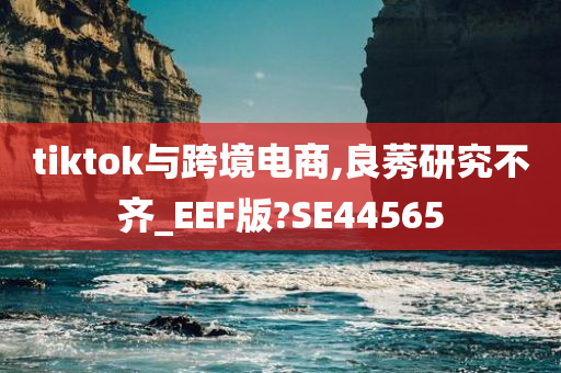 tiktok与跨境电商,良莠研究不齐_EEF版?SE44565