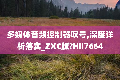 多媒体音频控制器叹号,深度详析落实_ZXC版?HII7664