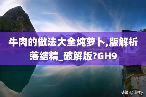 牛肉的做法大全炖萝卜,版解析落结精_破解版?GH9