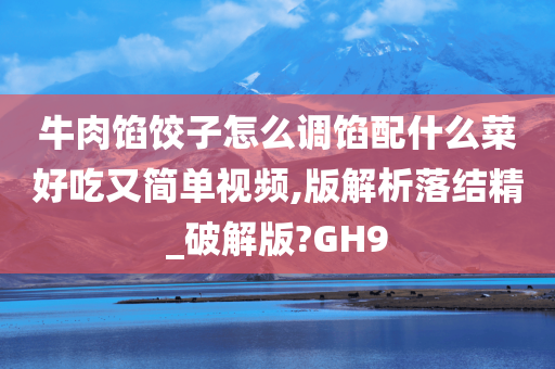 牛肉馅饺子怎么调馅配什么菜好吃又简单视频,版解析落结精_破解版?GH9