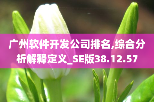 广州软件开发公司排名,综合分析解释定义_SE版38.12.57