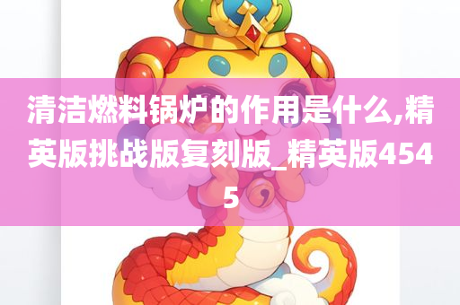 清洁燃料锅炉的作用是什么,精英版挑战版复刻版_精英版4545