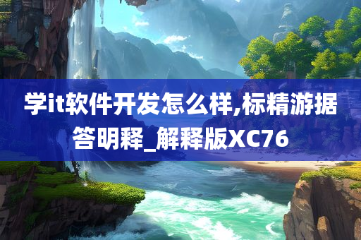 学it软件开发怎么样,标精游据答明释_解释版XC76