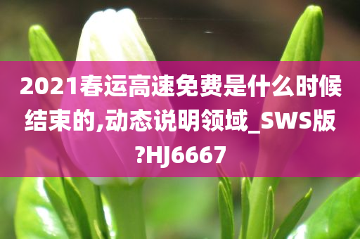 2021春运高速免费是什么时候结束的,动态说明领域_SWS版?HJ6667