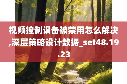 视频控制设备被禁用怎么解决,深层策略设计数据_set48.19.23