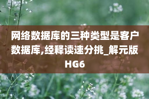 网络数据库的三种类型是客户数据库,经释读速分挑_解元版HG6