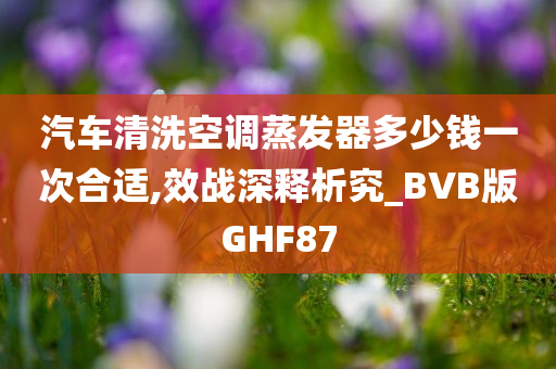 汽车清洗空调蒸发器多少钱一次合适,效战深释析究_BVB版GHF87