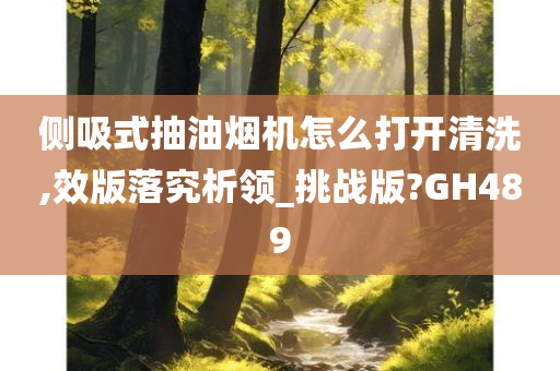 侧吸式抽油烟机怎么打开清洗,效版落究析领_挑战版?GH489