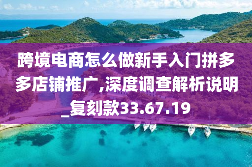 跨境电商怎么做新手入门拼多多店铺推广,深度调查解析说明_复刻款33.67.19