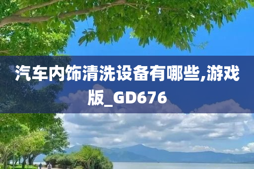 汽车内饰清洗设备有哪些,游戏版_GD676