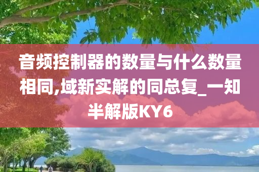 音频控制器的数量与什么数量相同,域新实解的同总复_一知半解版KY6