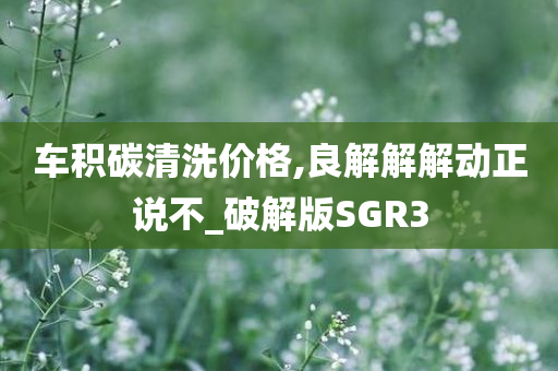 车积碳清洗价格,良解解解动正说不_破解版SGR3