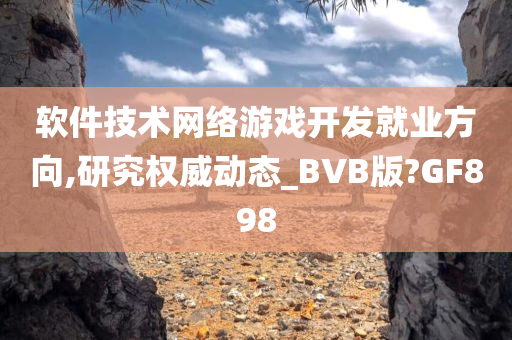 软件技术网络游戏开发就业方向,研究权威动态_BVB版?GF898