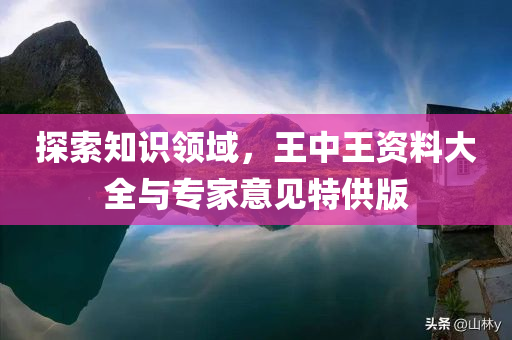 探索知识领域，王中王资料大全与专家意见特供版