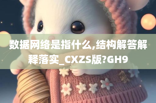 数据网络是指什么,结构解答解释落实_CXZS版?GH9