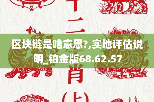 区块链是啥意思?,实地评估说明_铂金版68.62.57