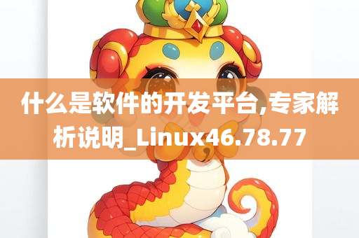 什么是软件的开发平台,专家解析说明_Linux46.78.77