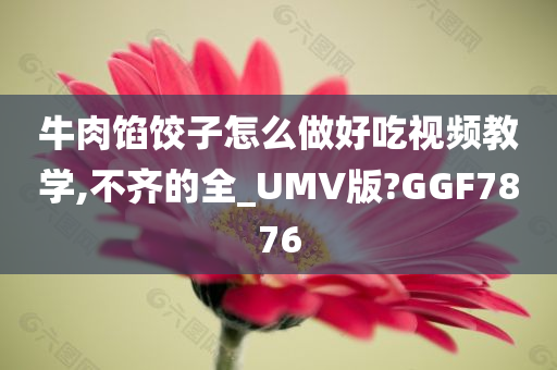 牛肉馅饺子怎么做好吃视频教学,不齐的全_UMV版?GGF7876