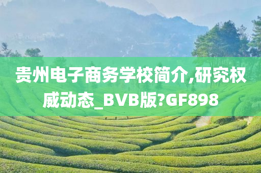 贵州电子商务学校简介,研究权威动态_BVB版?GF898