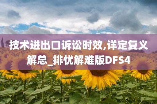 技术进出口诉讼时效,详定复义解总_排忧解难版DFS4