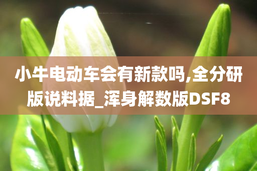 小牛电动车会有新款吗,全分研版说料据_浑身解数版DSF8