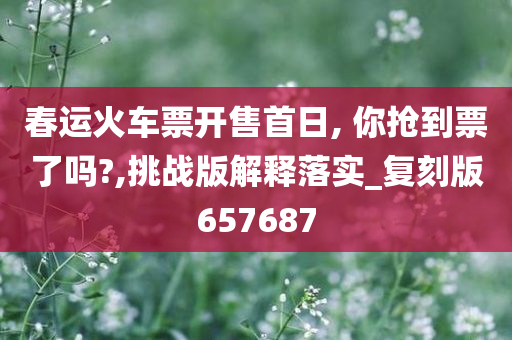 春运火车票开售首日, 你抢到票了吗?,挑战版解释落实_复刻版657687