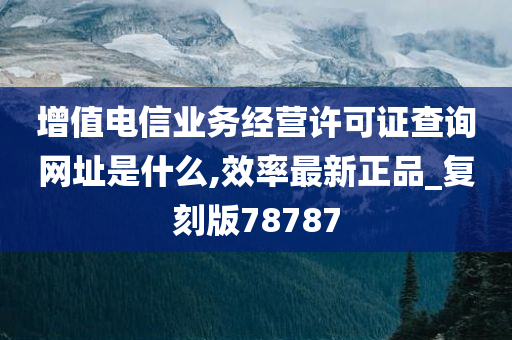 增值电信业务经营许可证查询网址是什么,效率最新正品_复刻版78787