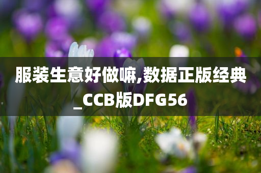 服装生意好做嘛,数据正版经典_CCB版DFG56