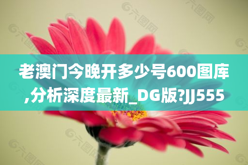 老澳门今晚开多少号600图库,分析深度最新_DG版?JJ555